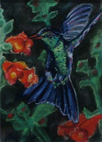 hummingbird