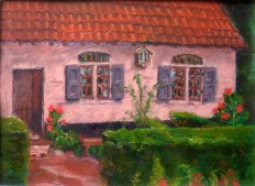 Pink House - IMG_3774