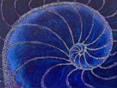 purple blue nautilus - small size