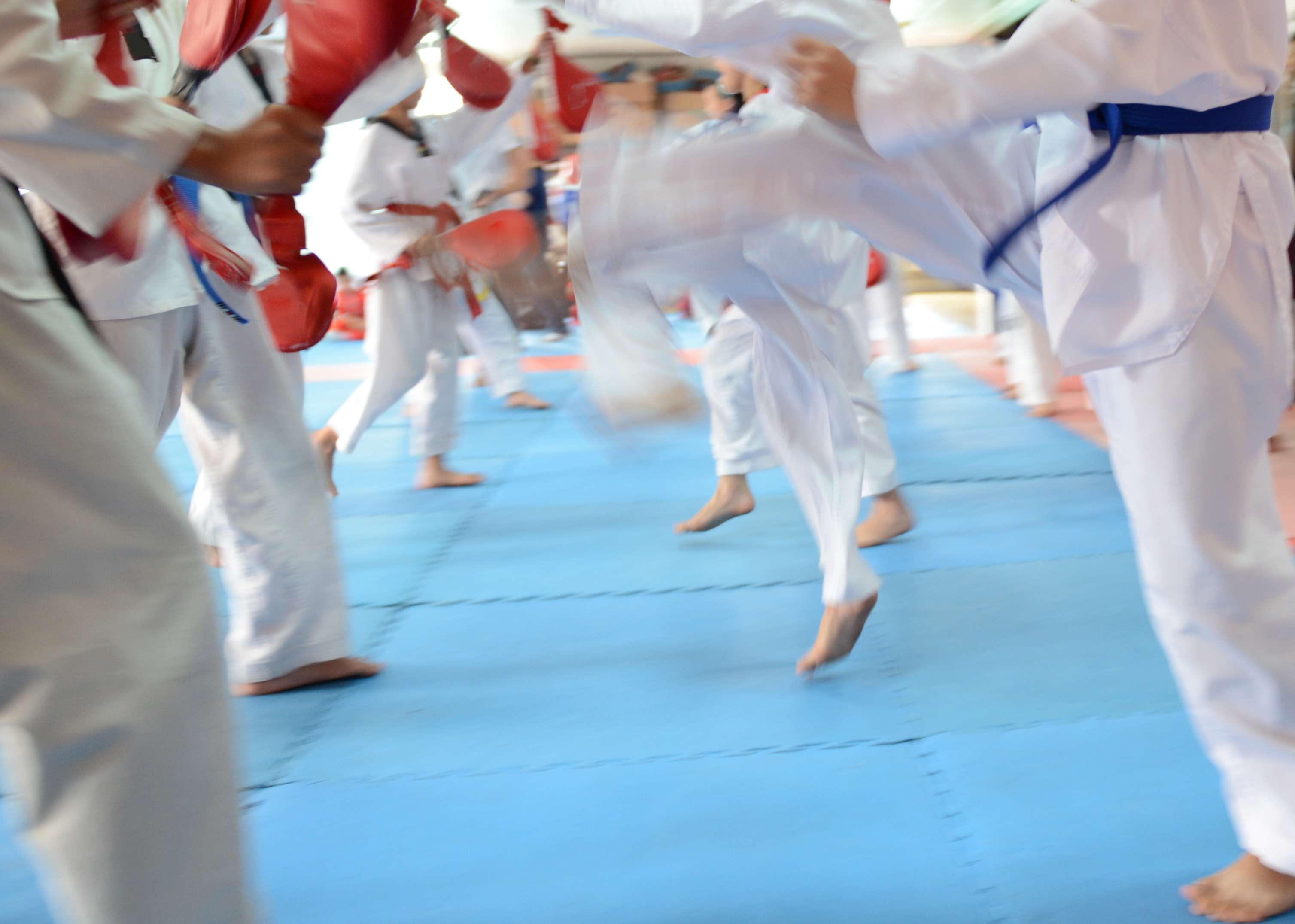 martial arts legs - shutterstock_159265079-2